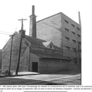 1955